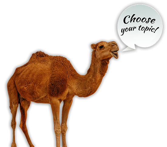 Camel